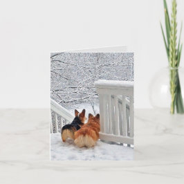 Corgis in de Sneeuw Feestdagen Kaart