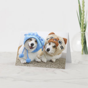 Corgis in Petten Gevouwen Wenskaart Kaart