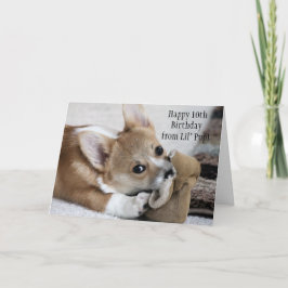 Corgi's verjaardagswensen Kaart