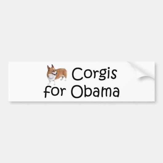 Corgis voor Obama Bumpersticker (Voorkant)