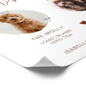 CORIANDER Boho Roest 2 Foto Pet Signature Drank  Poster (Hoek)
