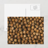 Coriander Briefkaart (Voorkant / Achterkant)