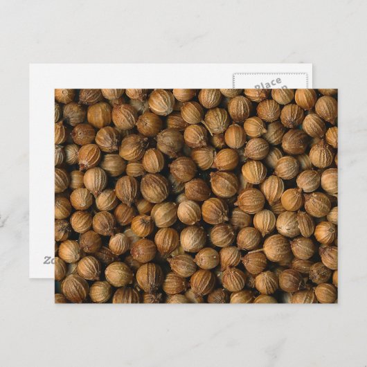 Coriander Briefkaart (Voorkant / Achterkant)