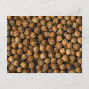 Coriander Briefkaart