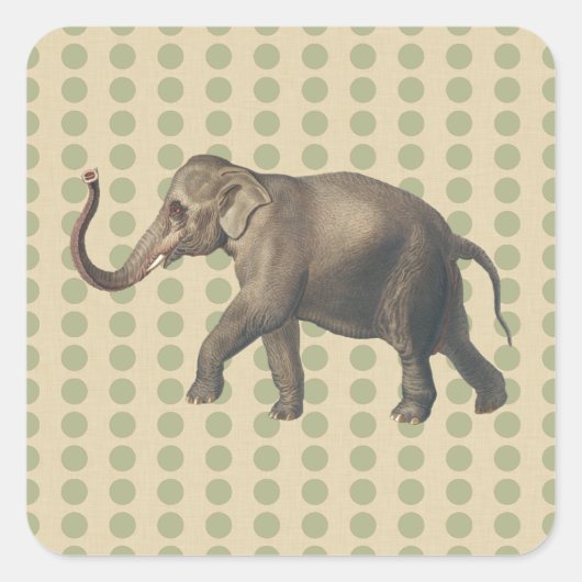 Coriander Spice Moods Stippen met olifant Vierkante Sticker (Voorkant)