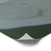 Corinthians 13:13 Bijbelverse witte rozenafdrukken Poster (Hoek)