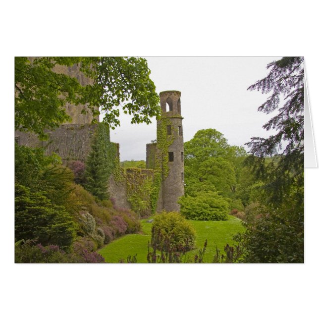 Cork, Ierland. Het beruchte Blarney Castle 2 (Voorkant Horizontaal)
