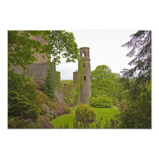 Cork, Ierland. Het beruchte Blarney Castle 2 Foto Afdruk (Voorkant)