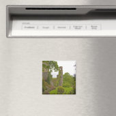 Cork, Ierland. Het beruchte Blarney Castle 2 Magneet (Insitu (Vaatwasser))