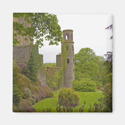 Cork, Ierland. Het beruchte Blarney Castle 2 Magneet (Voorkant)