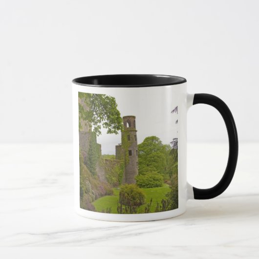 Cork, Ierland. Het beruchte Blarney Castle 2 Mok (Rechts)