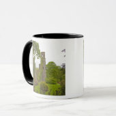 Cork, Ierland. Het beruchte Blarney Castle 2 Mok (Voorkant links)