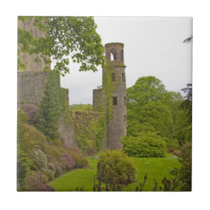 Cork, Ierland. Het beruchte Blarney Castle 2 Tegeltje