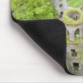 Cork, Ierland. Het beruchte Blarney Castle Muismat (Hoek)
