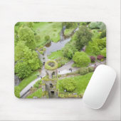 Cork, Ierland. Het beruchte Blarney Castle Muismat (Met muis)