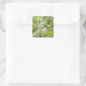 Cork, Ierland. Het beruchte Blarney Castle Vierkante Sticker (Tas)