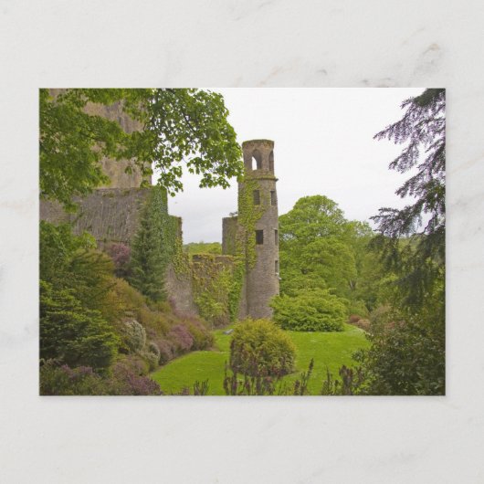 Cork, Ierland. Het beruchte kasteel 2 van Blarney Briefkaart (Voorkant)