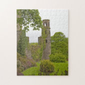 Cork, Ierland. Het beruchte kasteel 2 van Blarney Legpuzzel (Verticaal)