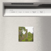 Cork, Ierland. Het beruchte kasteel 2 van Blarney Magneet (Insitu (Vaatwasser))