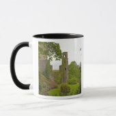 Cork, Ierland. Het beruchte kasteel 2 van Blarney Mok (Links)