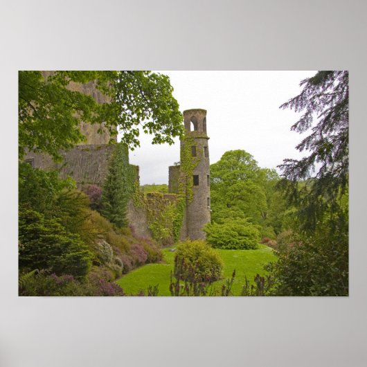 Cork, Ierland. Het beruchte kasteel 2 van Blarney Poster (Voorkant)