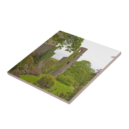 Cork, Ierland. Het beruchte kasteel 2 van Blarney Tegeltje (Zijkant)