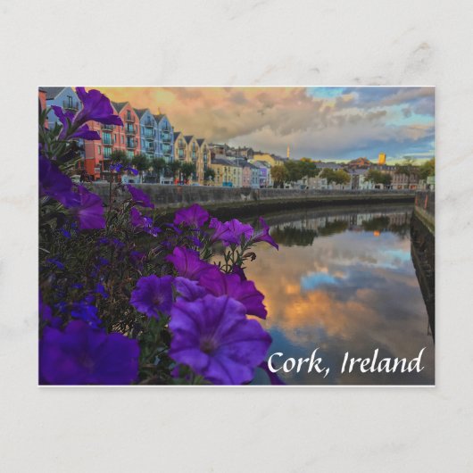 Cork, Ireland Flowers, River Lee Postcard Briefkaart (Voorkant)