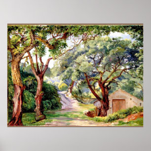 Cork Trees te Cintra near Lisbon, Poster