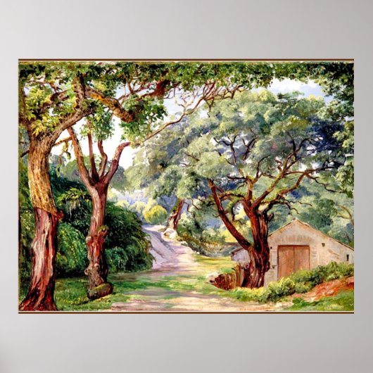 Cork Trees te Cintra near Lisbon, Poster (Voorkant)