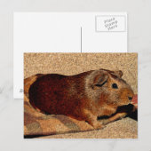 Corkboard Kijk Guinee Briefkaart (Voorkant / Achterkant)