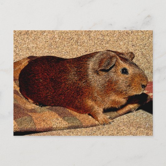 Corkboard Kijk Guinee Briefkaart (Voorkant)