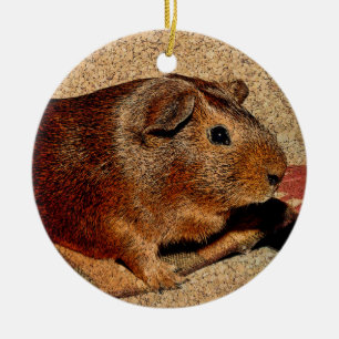 Corkboard Kijk Guinee Keramisch Ornament