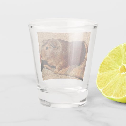 Corkboard Kijk Guinee Shot Glas (Achterkant)