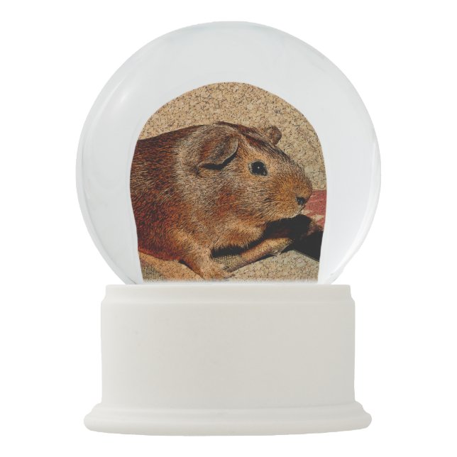 Corkboard Kijk Guinee Sneeuwbol (Voorkant)
