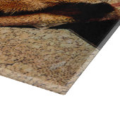 Corkboard Kijk Guinee Snijplank (Hoek)