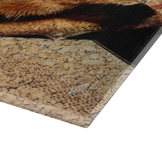 Corkboard Kijk Guinee Snijplank (Hoek)