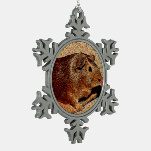 Corkboard Kijk Guinee Tin Sneeuwvlok Ornament (Links)