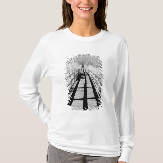 Corkscrew Swamp Sanctuary plankier, Florida, T-shirt (Voorkant)