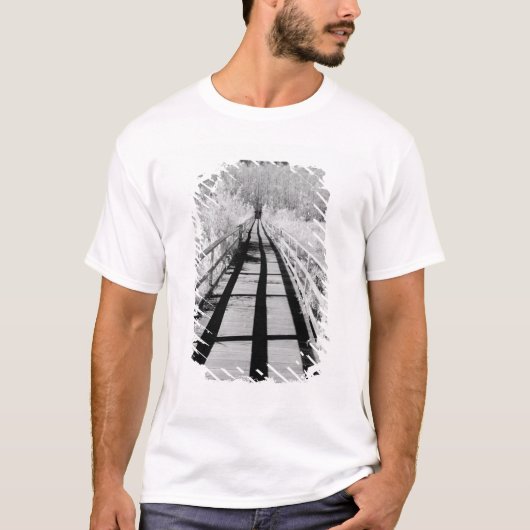 Corkscrew Swamp Sanctuary plankier, Florida, T-shirt (Voorkant)