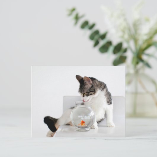 Corky de Briefkaarten van de Kat van de Wieg (Staand voorkant)