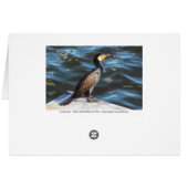 Cormorant at Cardiff Bay, Cardiff, Wales (Achterkant Horizontaal)