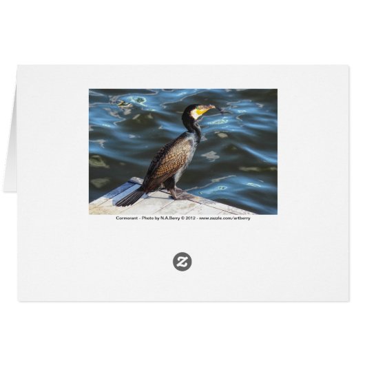 Cormorant at Cardiff Bay, Cardiff, Wales (Achterkant Horizontaal)