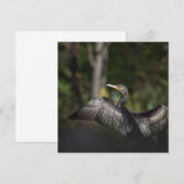 Cormorant Bird Natuur Photo Card (Voorkant / Achterkant)