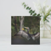 Cormorant Bird Natuur Photo Card (Staand voorkant)