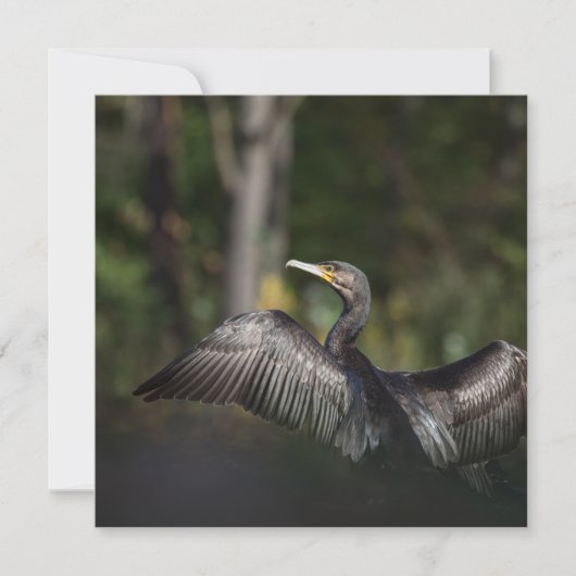Cormorant Bird Natuur Photo Card (Voorkant)