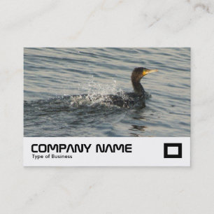 Cormorant leren naar zwemmen visitekaartje