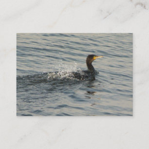 Cormorant leren naar zwemmen visitekaartje