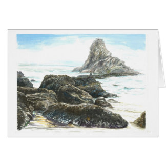 Cormorant on the Rock