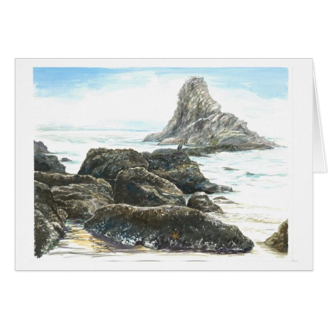 Cormorant on the Rock (Voorkant Horizontaal)