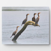 Cormorant Plaque Fotoplaat (Voorkant)